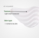 ALOE + HA MOISTURIZER LIGHT CREAM - The ALOELAB
