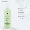 FACIAL WASH GEL CLEANSER - The ALOELAB